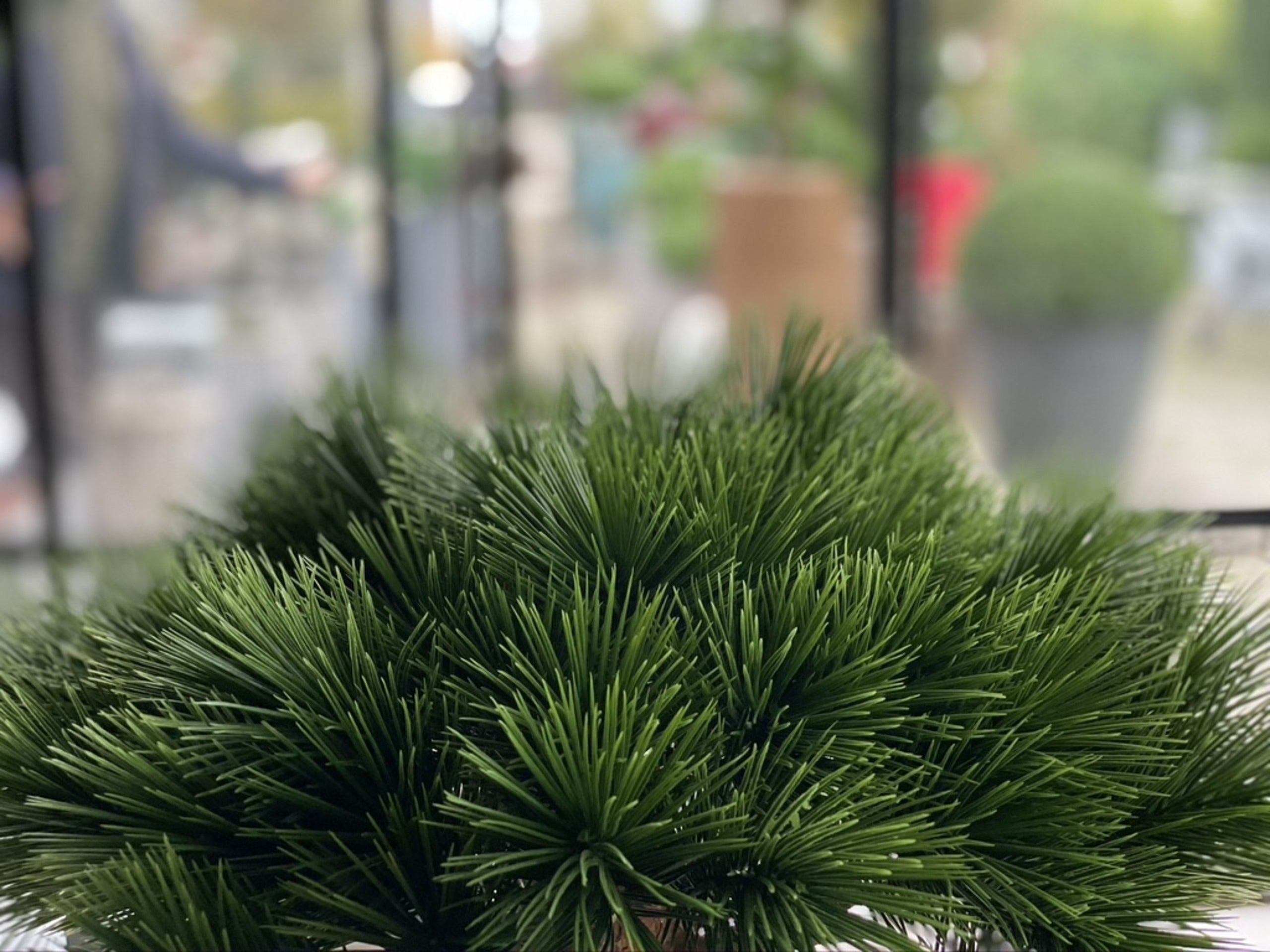 Kleine kunst Pinus Bonsai boom 55 cm UV voor buiten 