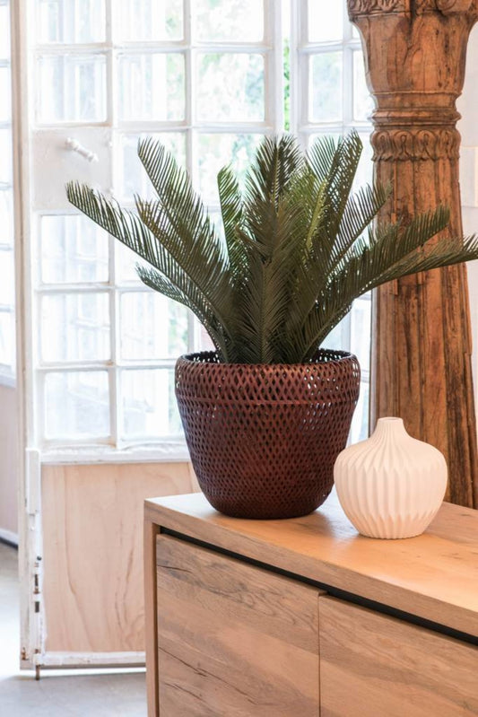 kunst Cycas Palm 60 cm UV beschermd
