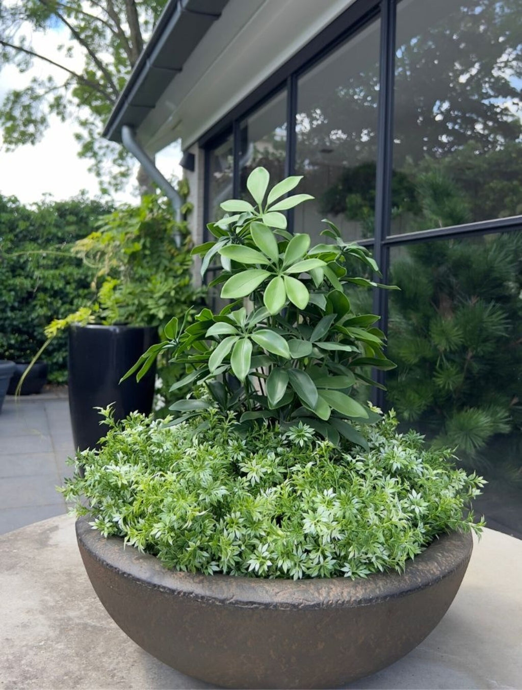Kunstmatige Schefflera-plant voor buiten, 50 cm hoog, met UV-bescherming.