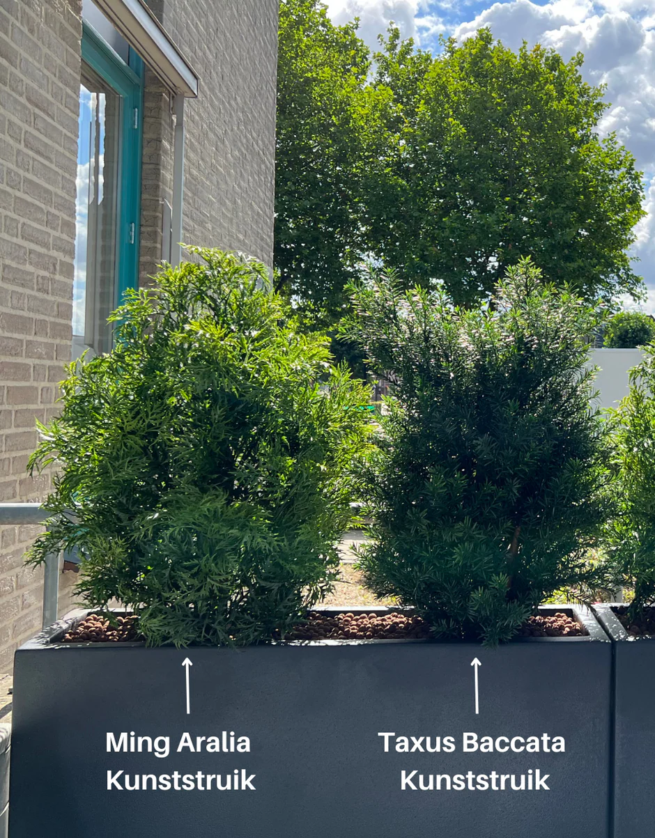 Kunstplant voor buiten Ming Aralia groen UV-bestendig