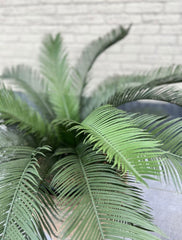 Buiten kunst Cycas Palm 80 cm UV beschermd