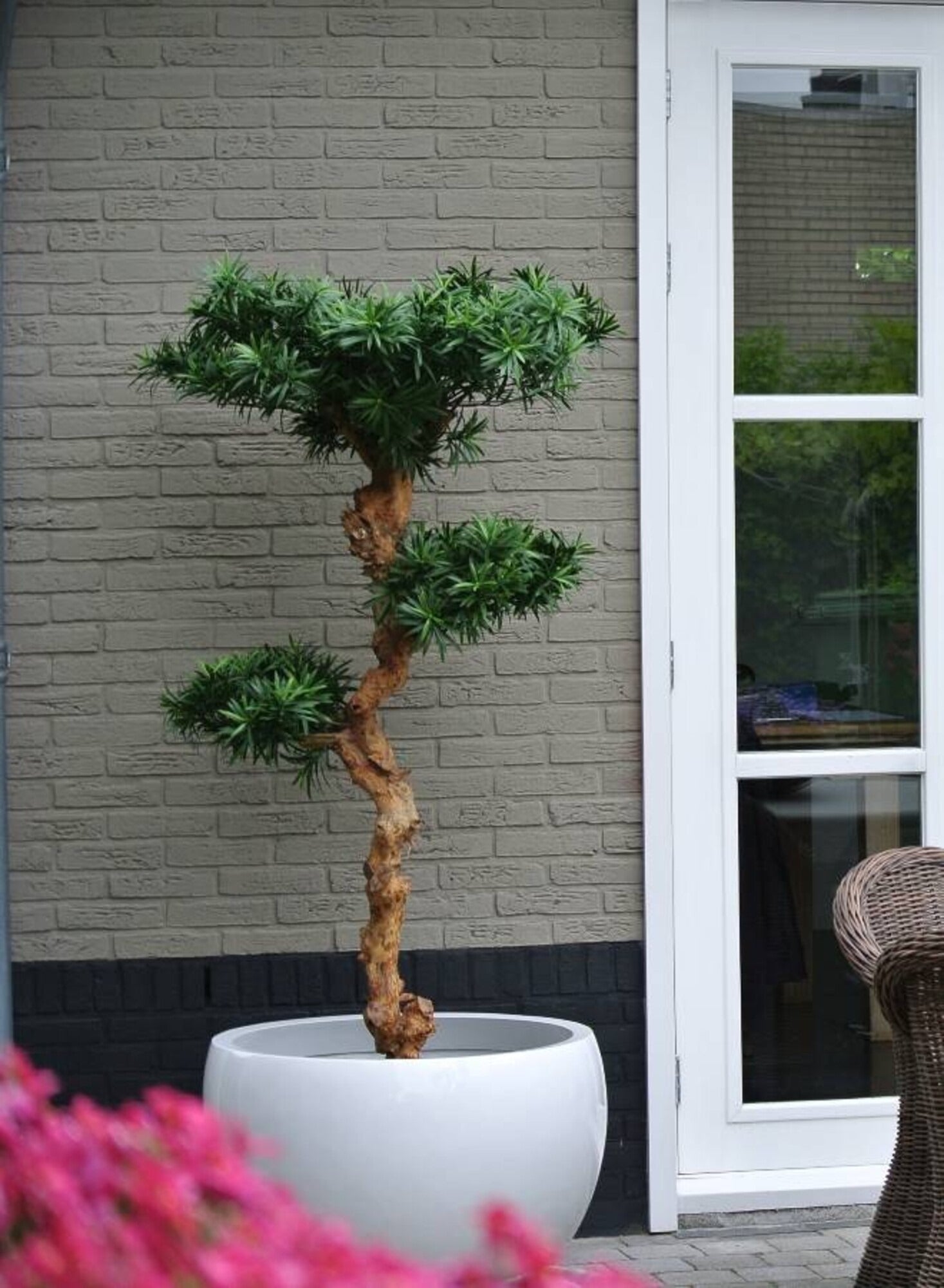 Kunst Podocarpus bonsai voor buiten, 160 cm, UV-bestendig 