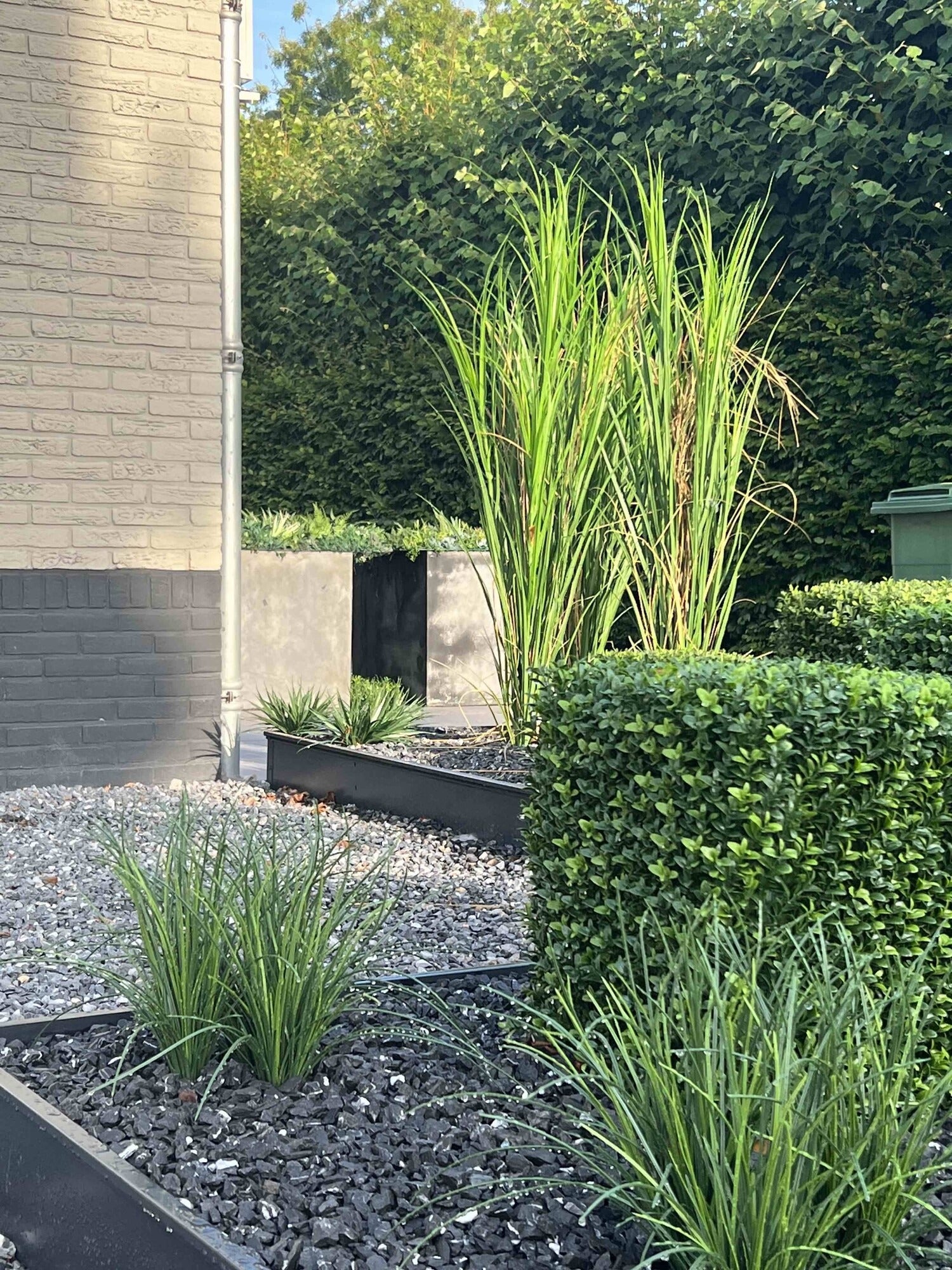 Kunst rietplant voor buiten 165 cm UV-bestendig 