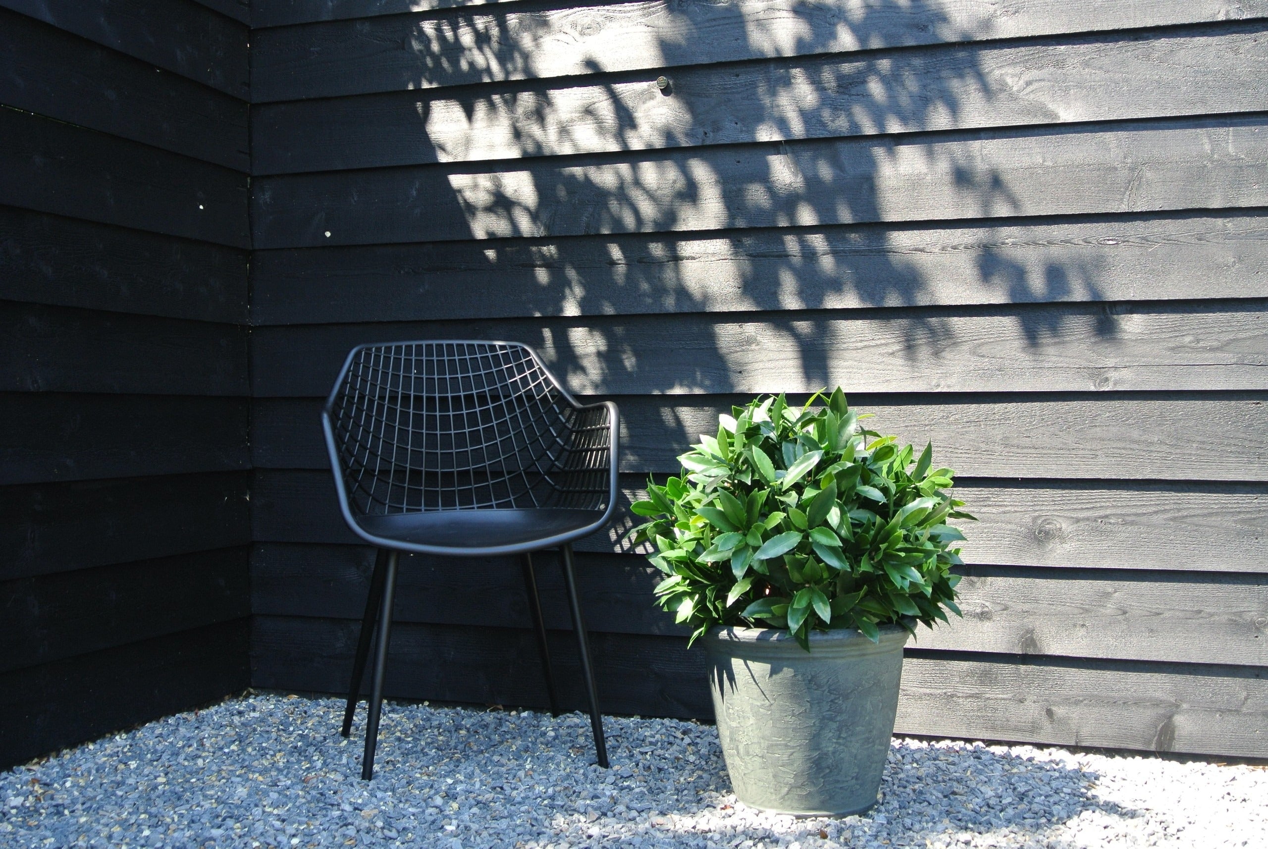 Kunst Laurierbol 55 cm UV 