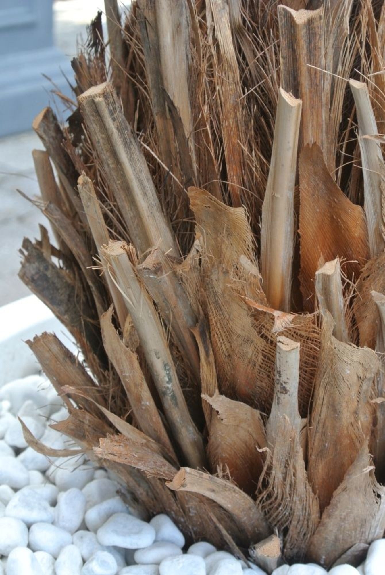 Kunst palm Phoenix 170 cm UV-bestendig 