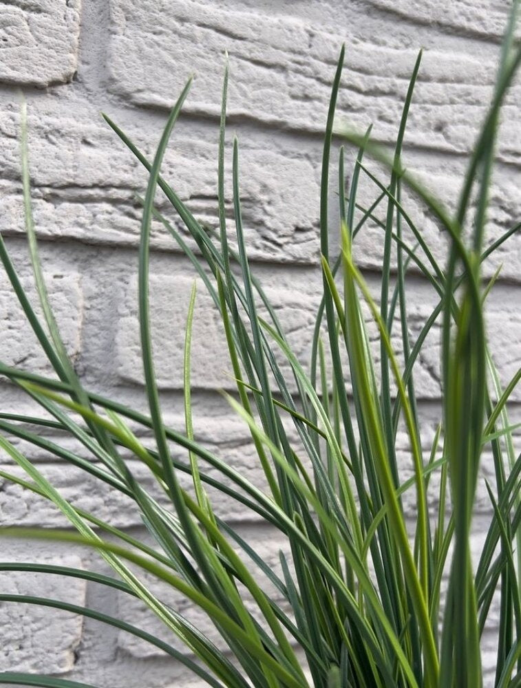 Kunst grasboeket voor buiten 40 cm UV 