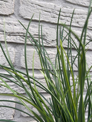 Kunst grasboeket voor buiten 40 cm UV 