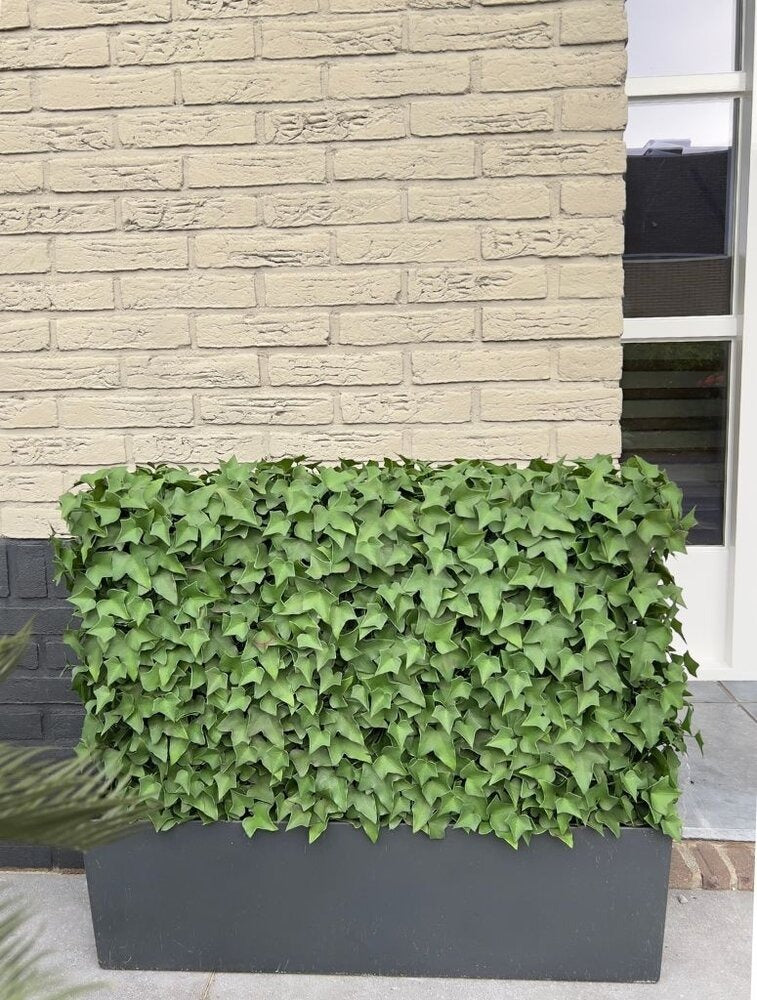Kunstwerk voor buiten: klimophaag op frame, UV-beschermd, 56 cm