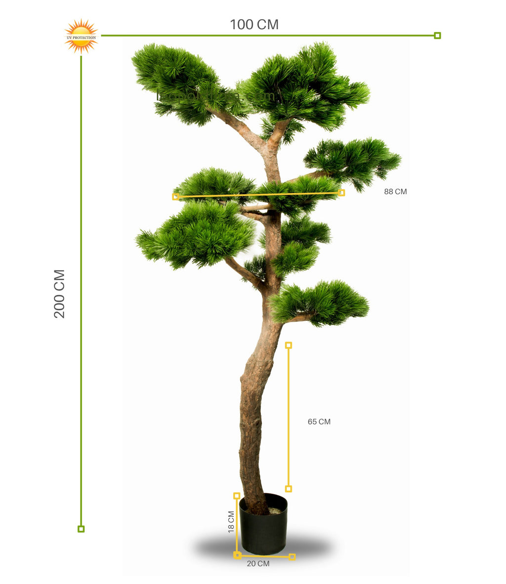 Luxe buitenkunstwerk: Pinus Bonsai XL met UV-bescherming