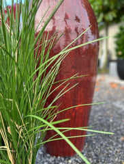 Kunst Siergras Plant 80cm UV in Pot 