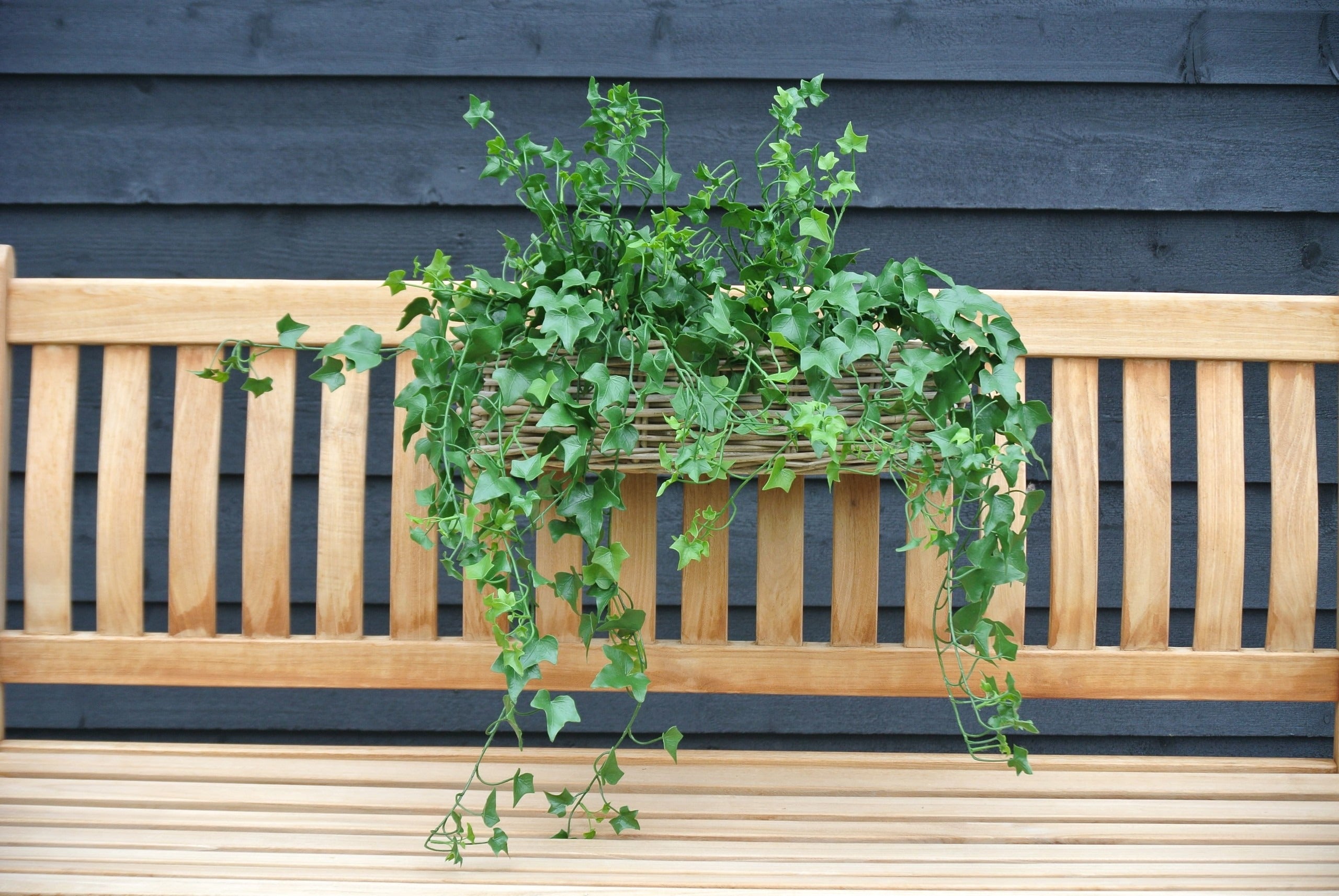 Kunst klimop hangplant 65 cm UV-bestendig voor buiten 