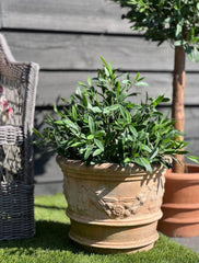 Kunst olijfboom voor buiten 60cm UV 