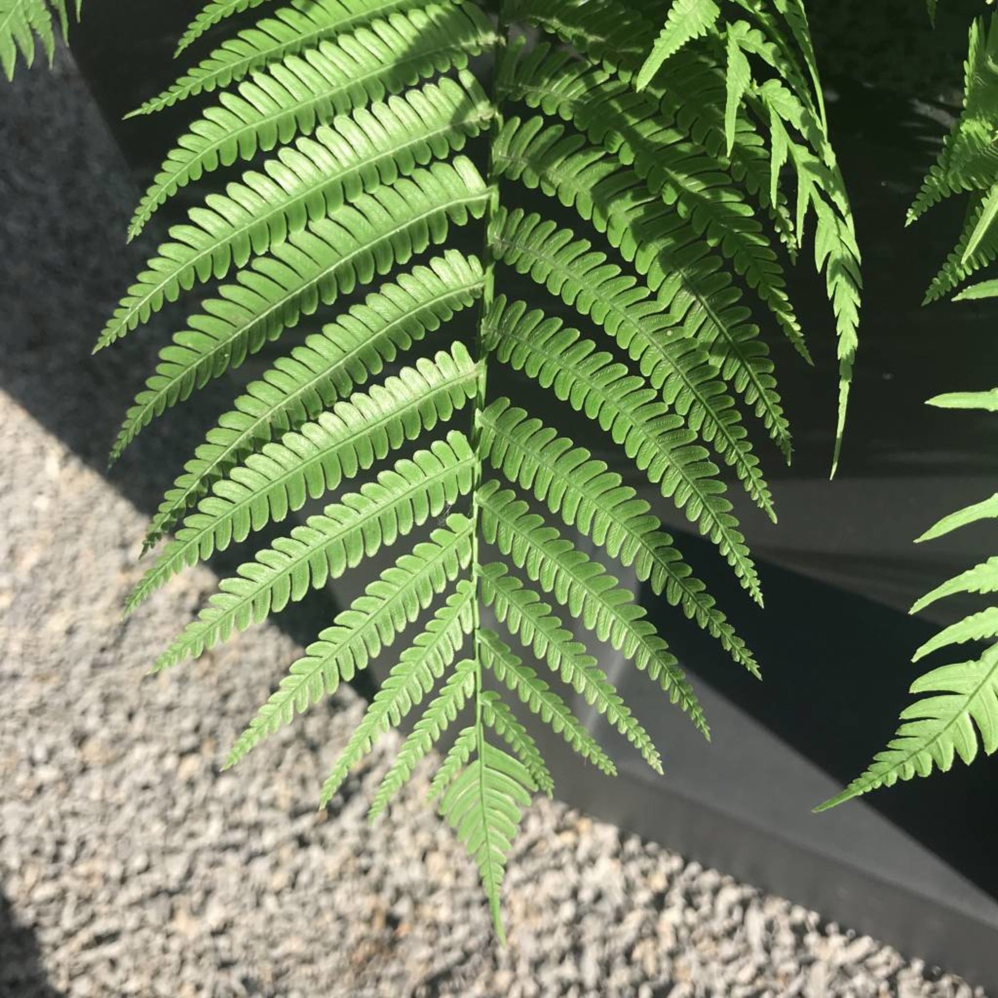 Kunst buitenboeket Varen 75 cm UV 