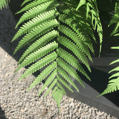 Kunst buitenboeket Varen 75 cm UV 