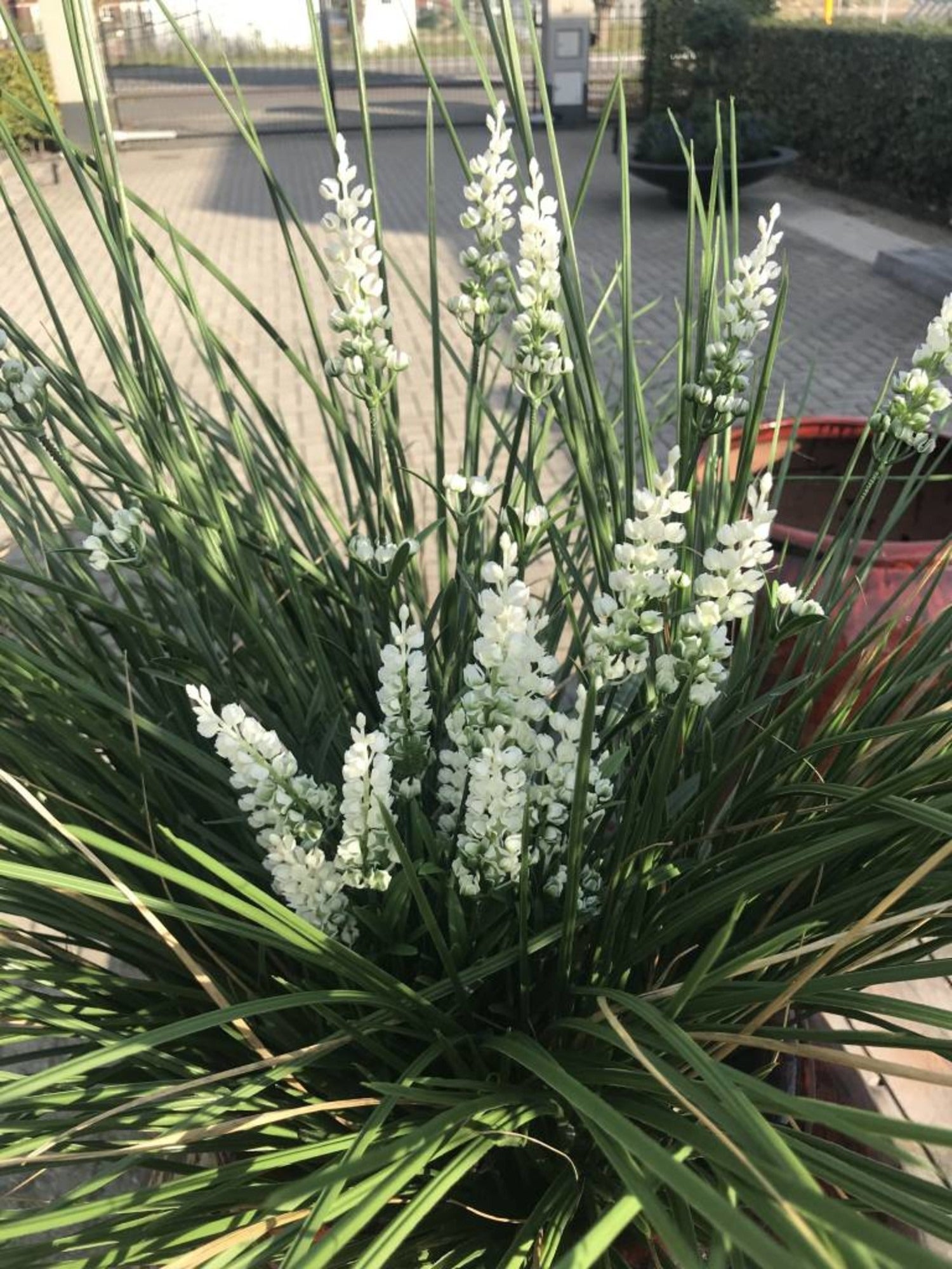 Kunst boeket witte lavendel, UV-beschermd, voor buiten, 50 cm