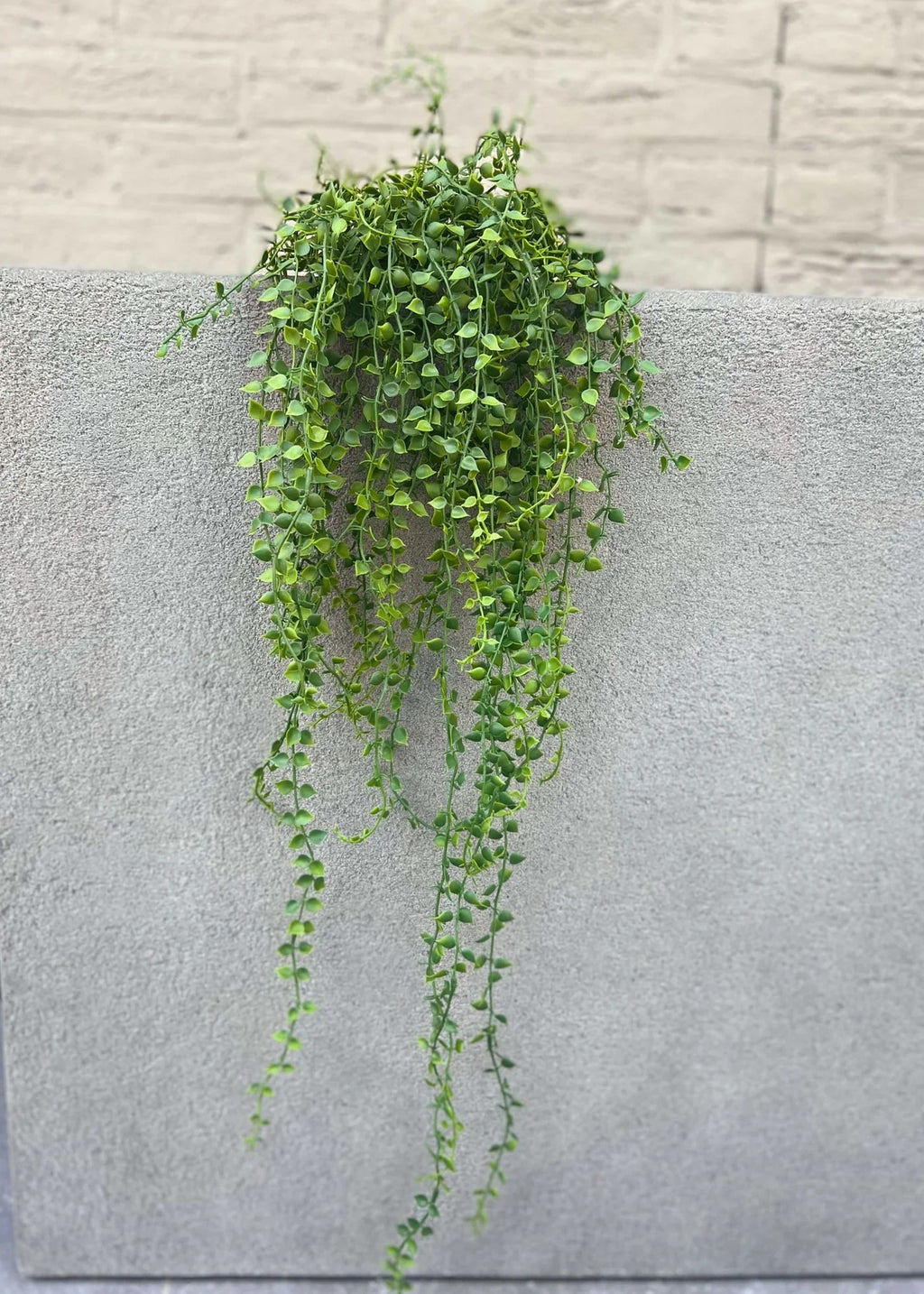 Callisia kunstmatige hangplant 70 cm UV-bestendig