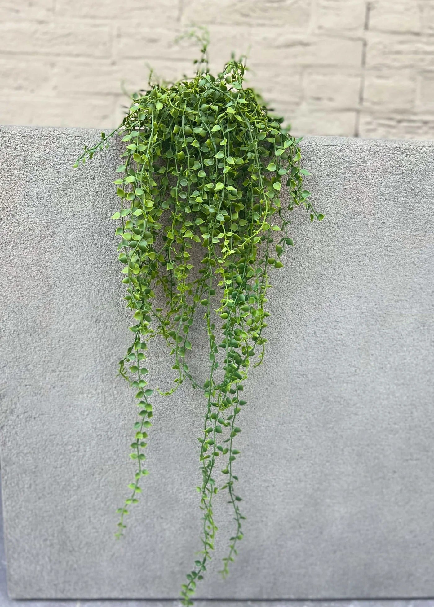 Callisia kunstmatige hangplant 70 cm UV-bestendig
