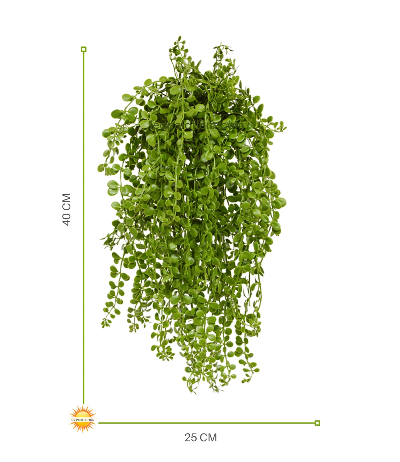 Dischidia nummularia kunst hangplant 40cm UV