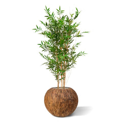 Hoge kunst Bamboeplant 120 cm UV-beschermd 