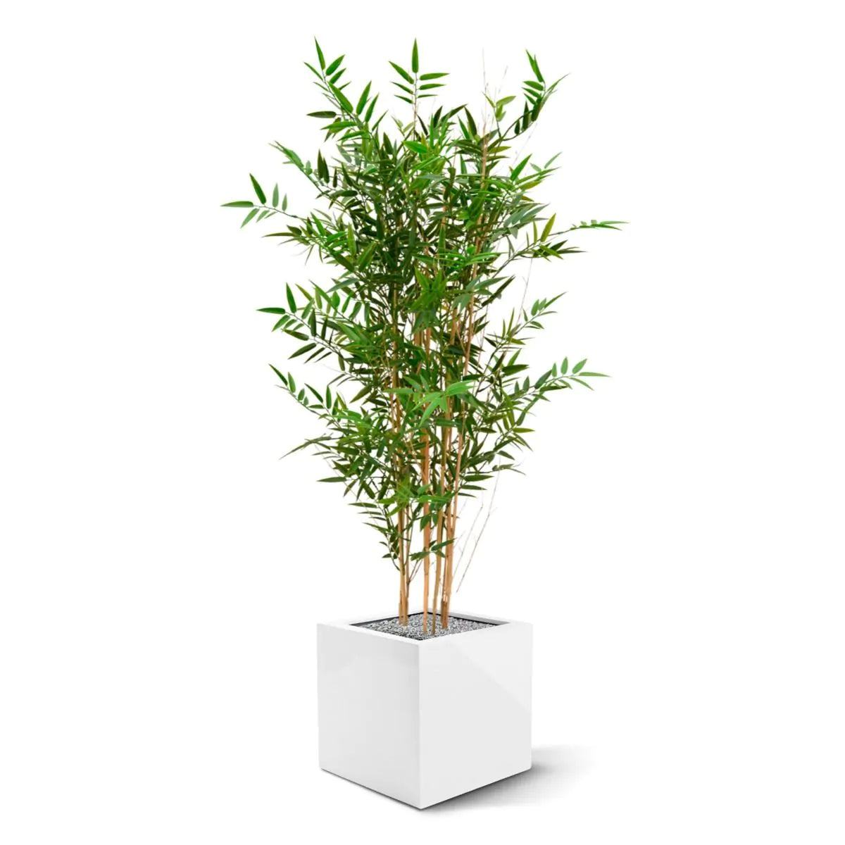 Hoge kunst Bamboeplant 120 cm UV-beschermd 
