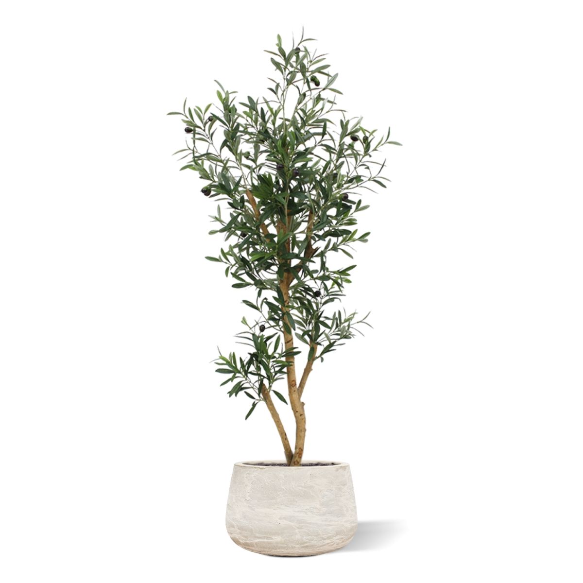 Kunst Olijfboom 120cm