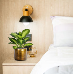 Dieffenbachia Kunstplant 25cm