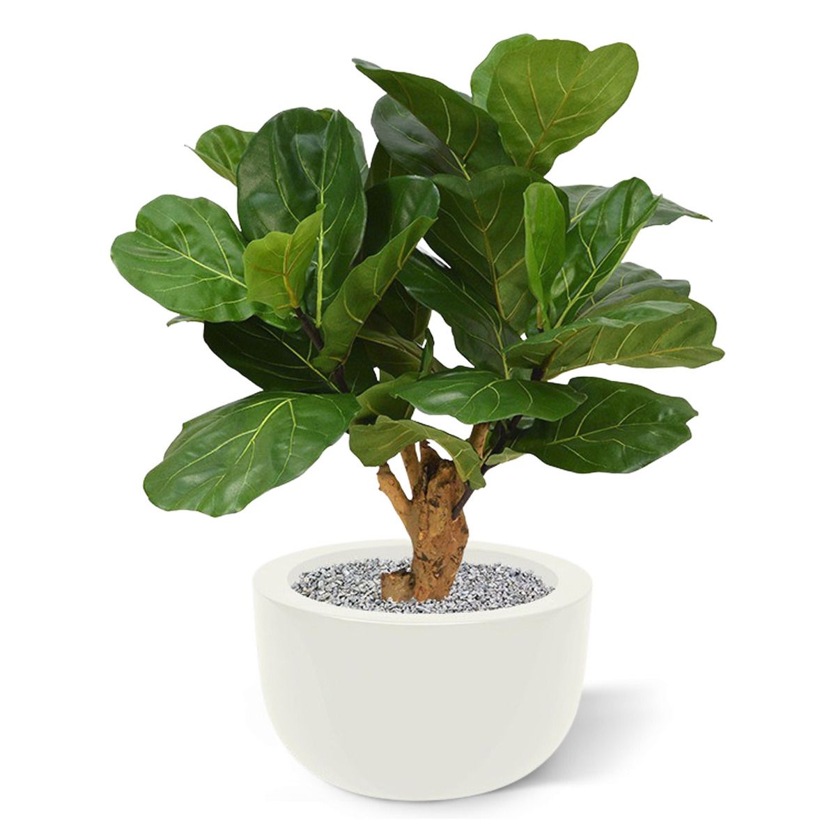 Lyrata deluxe kunstplant op stam 80cm