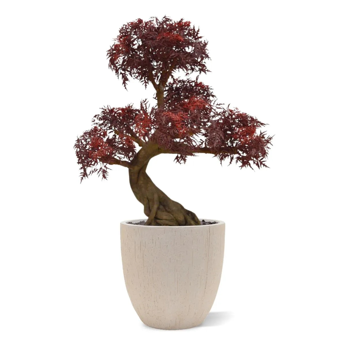 Kunst bonsai Ming Aralia voor buiten in de kleur bordeauxrood met geteste UV-garantie 