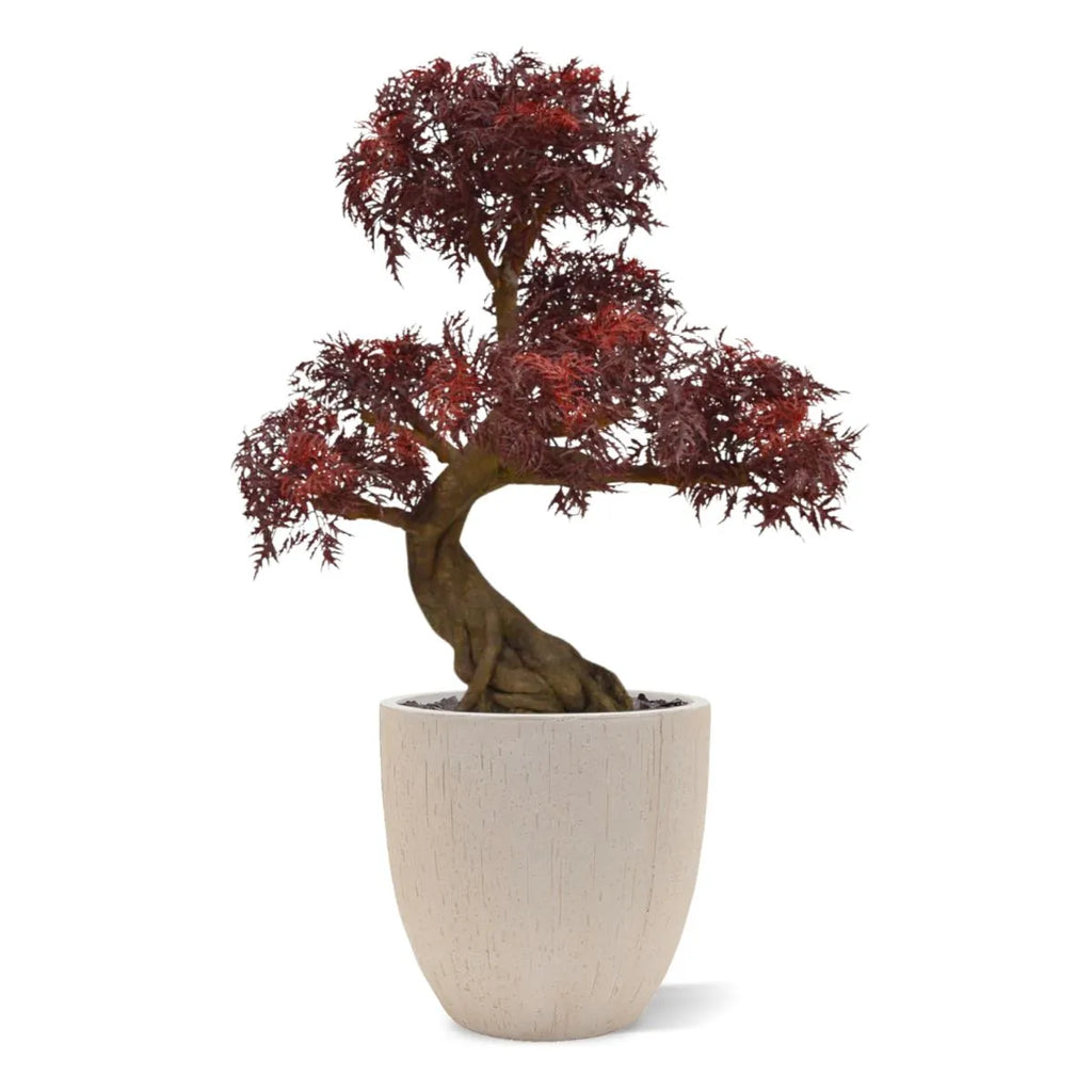 Kunstmatige Ming Aralia bonsai voor buiten in bordeauxrood met geteste UV-garantie.