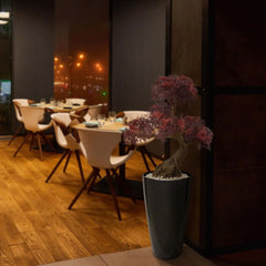 Kunst bonsai Ming Aralia voor buiten in de kleur bordeauxrood met geteste UV-garantie 