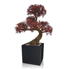 Kunst bonsai Ming Aralia voor buiten in de kleur bordeauxrood met geteste UV-garantie 