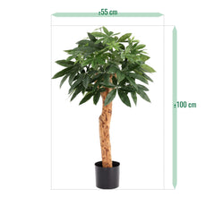Pachira Kunstplant Deluxe 100cm