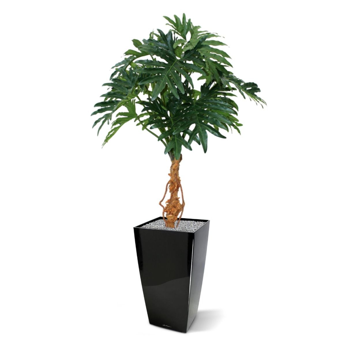 Philo Selloum kunstplant 130cm