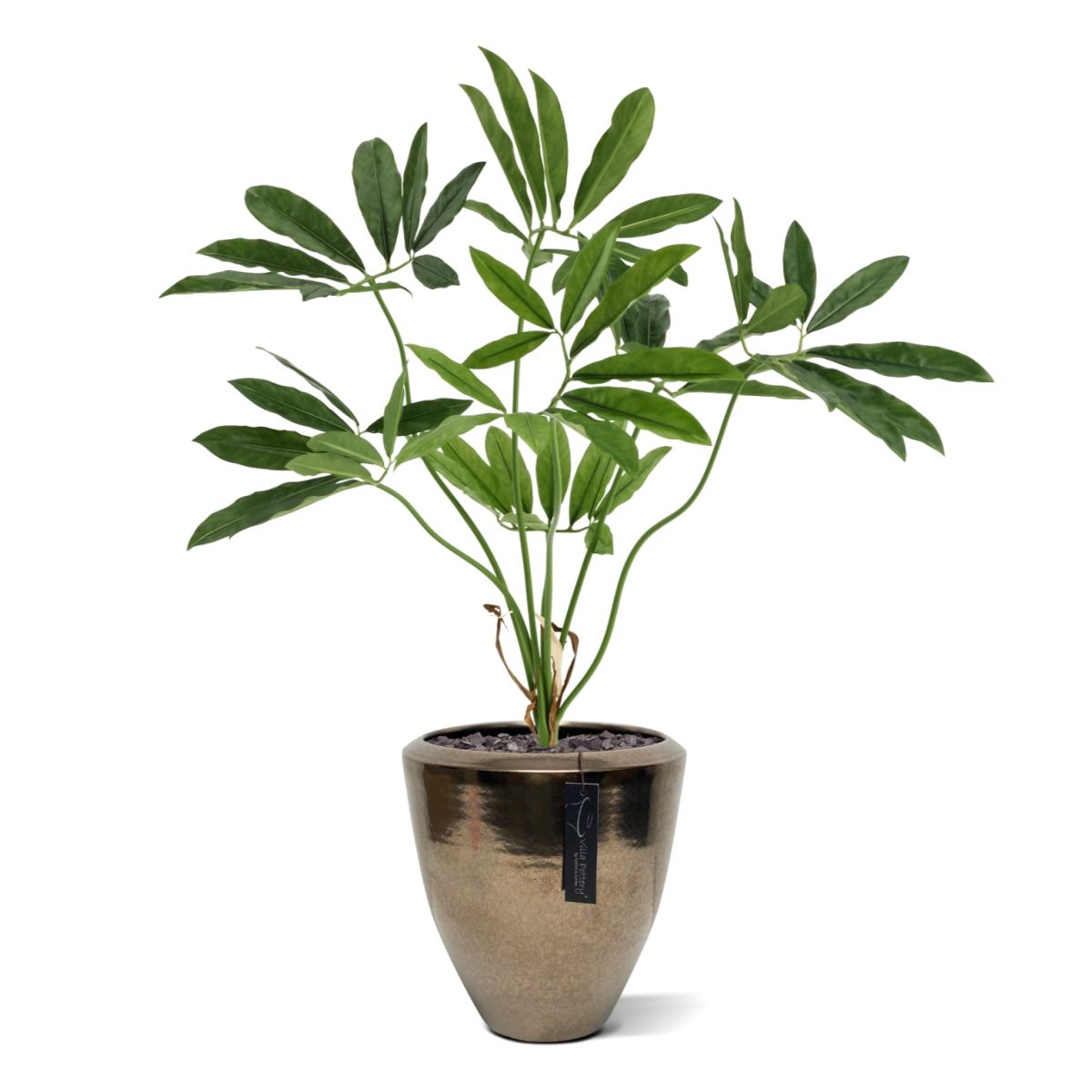 Philodendron Fun Bun Kunstplant 80cm Deluxe