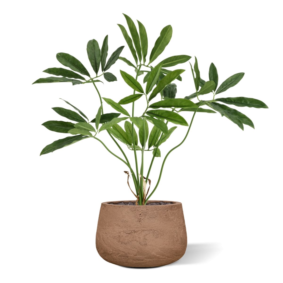 Philodendron Fun Bun Kunstplant 80cm Deluxe