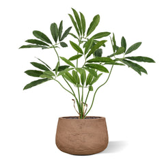 Philodendron Fun Bun Kunstplant 80cm Deluxe