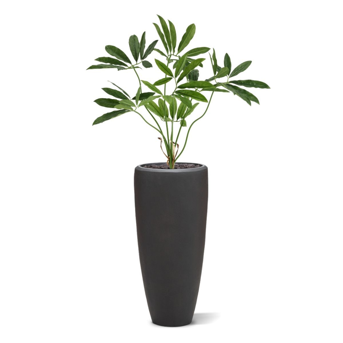 Philodendron Fun Bun Kunstplant 80cm Deluxe