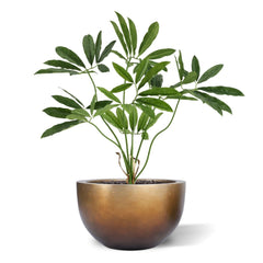 Philodendron Fun Bun Kunstplant 80cm Deluxe