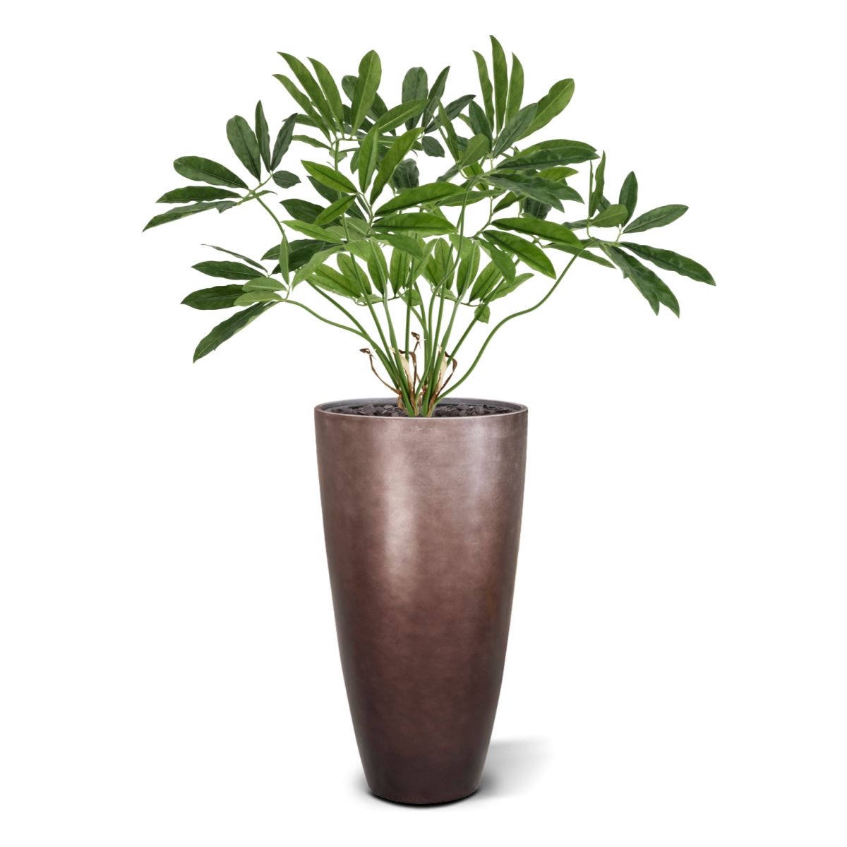 Philodendron Fun Bun Kunstplant 80cm Deluxe