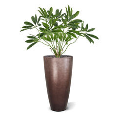 Philodendron Fun Bun Kunstplant 80cm Deluxe