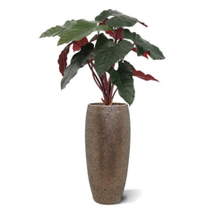 Philodendron kunstplant Deluxe 80cm Burgundy