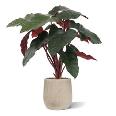Philodendron kunstplant Deluxe 80cm Burgundy