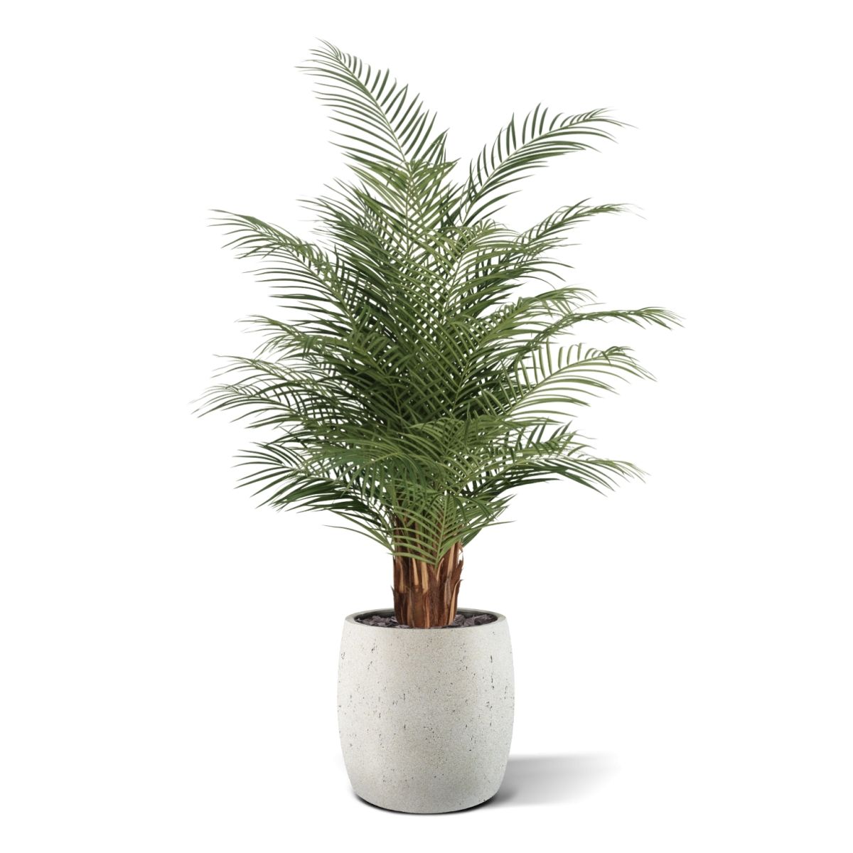 Phoenix Kunstpalm deluxe 150cm