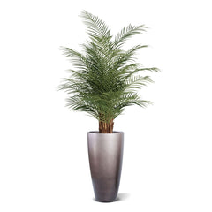 Phoenix Kunstpalm deluxe 150cm