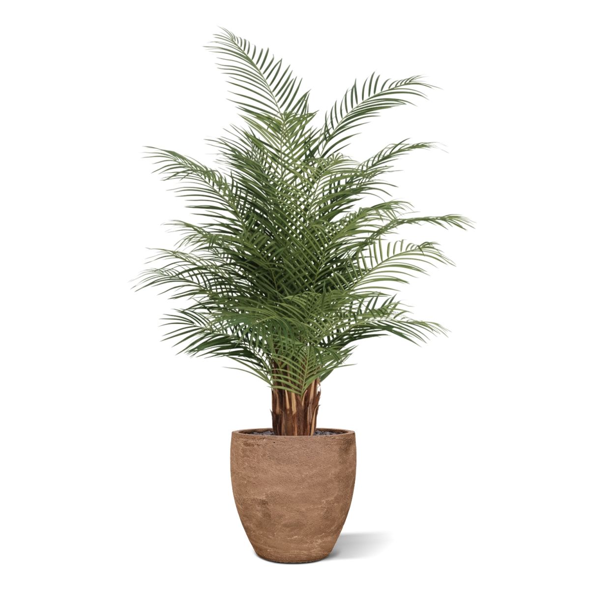 Phoenix Kunstpalm deluxe 150cm