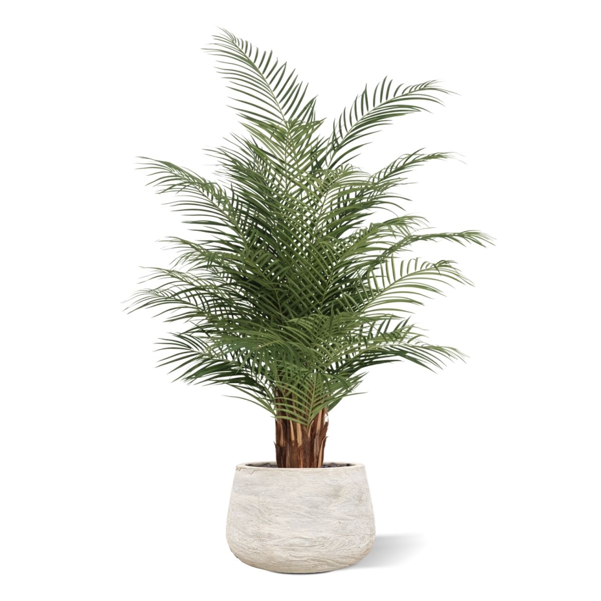 Phoenix Kunstpalm deluxe 150cm