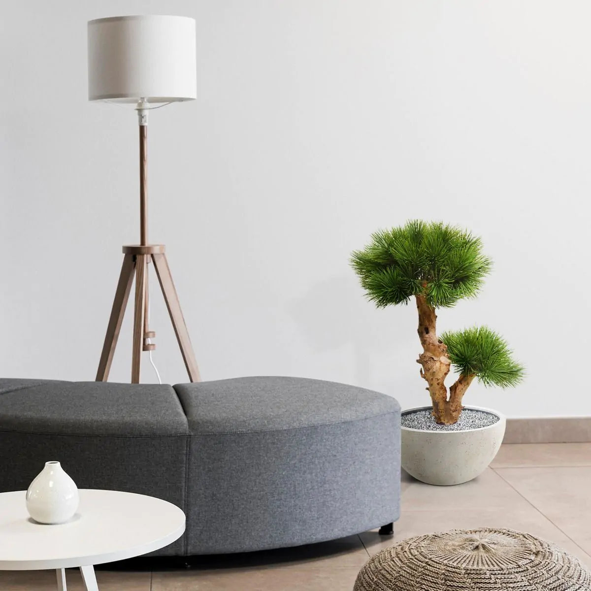 Kleine kunst Pinus Bonsai boom 55 cm UV voor buiten 