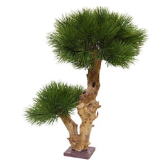 Kleine kunst Pinus Bonsai boom 55 cm UV voor buiten 