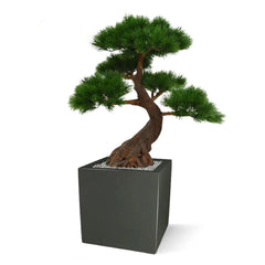 Kunst Bonsai Pinus boom 80 cm met 5 lagen UV-beschermd 
