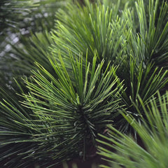 Kunst Bonsai Pinus boom 80 cm met 5 lagen UV-beschermd 